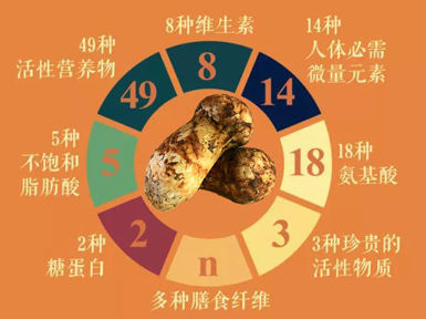 松茸的功效作用與營養價值